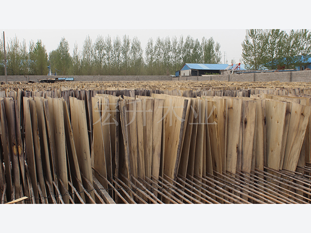 ������ò_��ȼ�Ҿ��