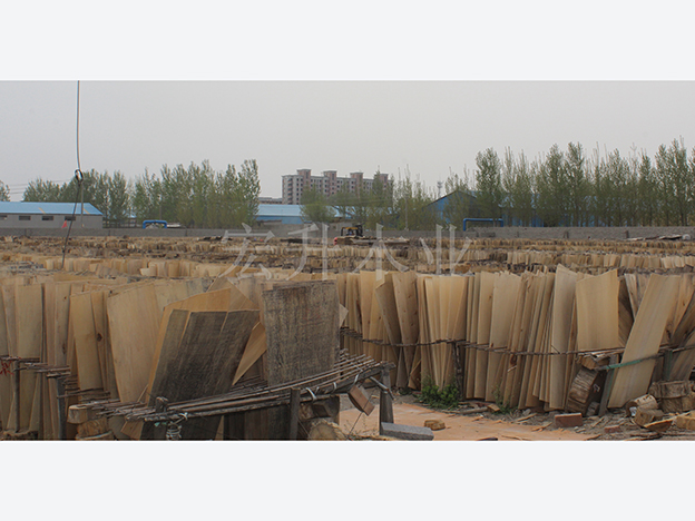 ������ò_��ȼ�Ҿ��