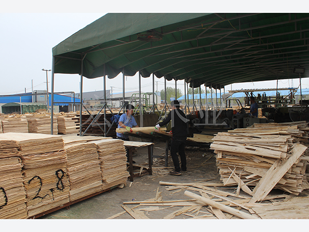 ������ò_��ȼ�Ҿ��