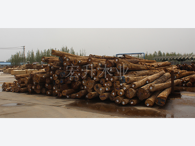 ������ò_��ȼ�Ҿ��