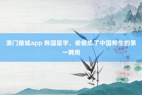 澳门赌城app 韩国留学，偷偷成了中国粹生的第一聘用