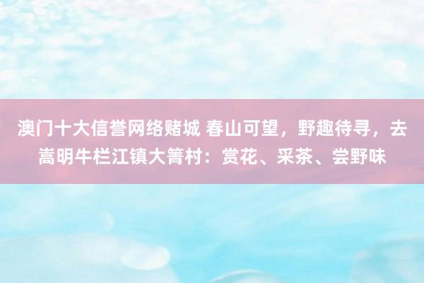 澳门十大信誉网络赌城 春山可望，野趣待寻，<a href=