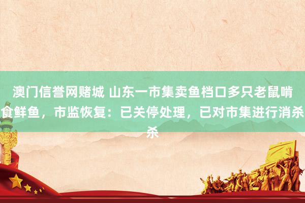 澳门信誉网赌城 山东一市集卖鱼档口多只老鼠啃食鲜鱼，市监恢复：已关停处理，已对市集进行消杀