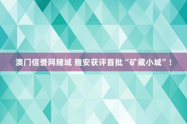 澳门信誉网赌城 雅安获评首批“矿藏小城”！