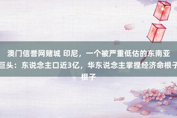 澳门信誉网赌城 印尼，一个被严重低估的东南亚巨头：东说念主口近3亿，华东说念主掌捏经济命根子