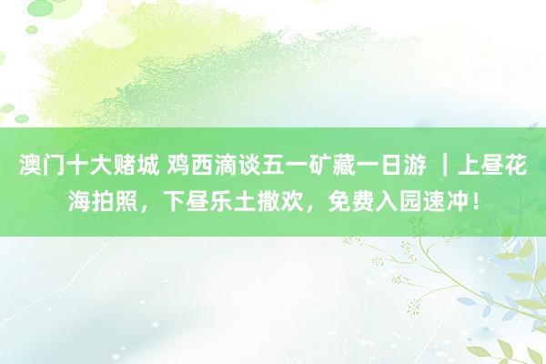 澳门十大赌城 鸡西滴谈五一矿藏一日游 ｜上昼花海拍照，下昼乐土撒欢，免费入园速冲！
