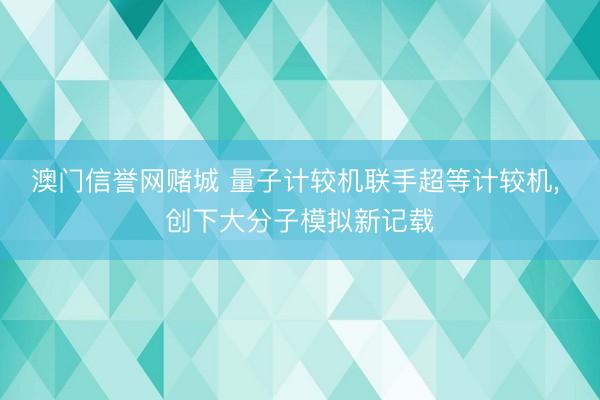 澳门信誉网赌城 量子计较机联手超等计较机, 创下大分子模拟新记载