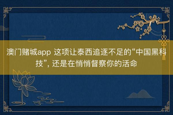 澳门赌城app 这项让泰西追逐不足的“中国黑科技”, 还是在悄悄督察你的活命