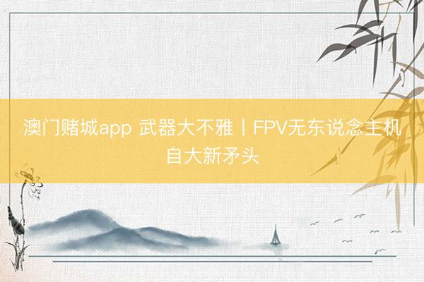 澳门赌城app 武器大不雅丨FPV无东说念主机自大新矛头