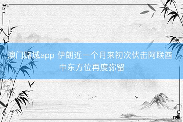 澳门赌城app 伊朗近一个月来初次伏击阿联酋 中东方位再度弥留
