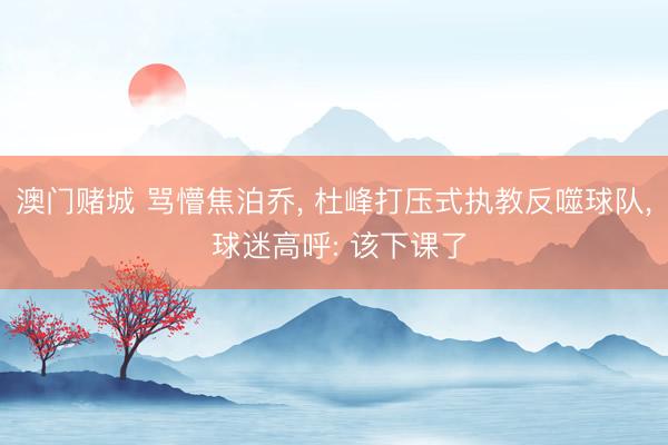 澳门赌城 骂懵焦泊乔， 杜峰打压式执教反噬球队， 球迷高呼: 该下课了