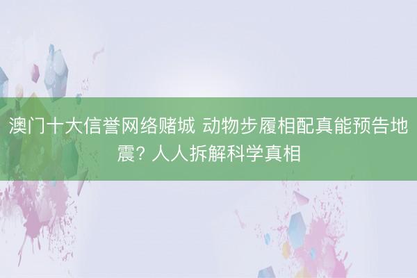 澳门十大信誉网络赌城 动物步履相配真能预告地震? 人人拆解科学真相