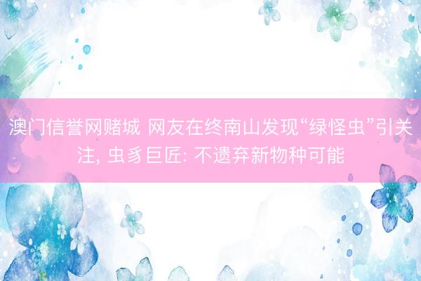 澳门信誉网赌城 网友在终南山发现“绿怪虫”引关注, 虫豸巨匠: 不遗弃新物种可能